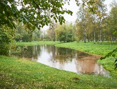 На острове Юность появилась лужа с небольшое озеро.