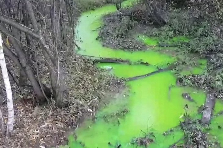 Фото предоставлено Байкальской межрегиональной природоохранной прокуратурой