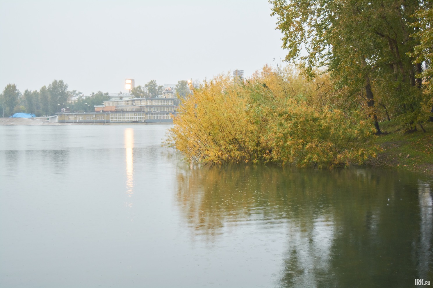 Повышение уровня воды можно заметить по деревьям и кустарникам.