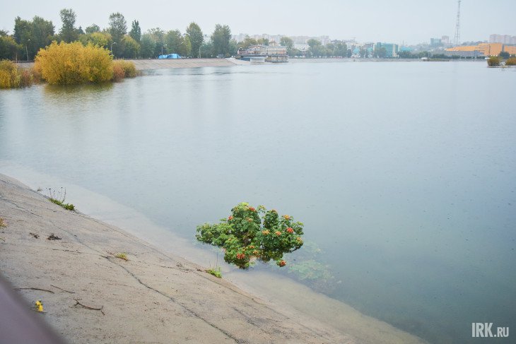 Повышение уровня воды в Ангаре в Иркутске. Фото Маргариты Романовой, IRK.ru