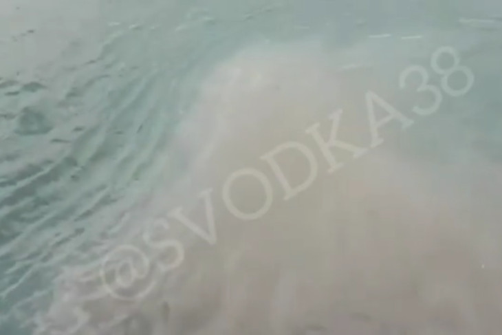 Фрагмент видео из группы «Svodka38»