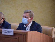 Депутат Андрей Стрельцов