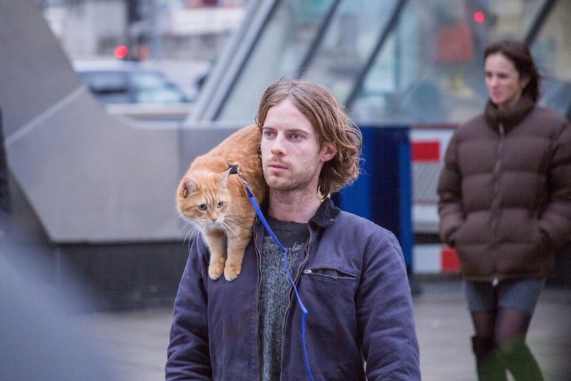 Кадр из фильма «Уличный кот по кличке Боб». Фото с сайта www.kinopoisk.ru