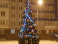 Высокая ёлка со звездой около дома на Поленова, 27-21. Фото Натальи Т.