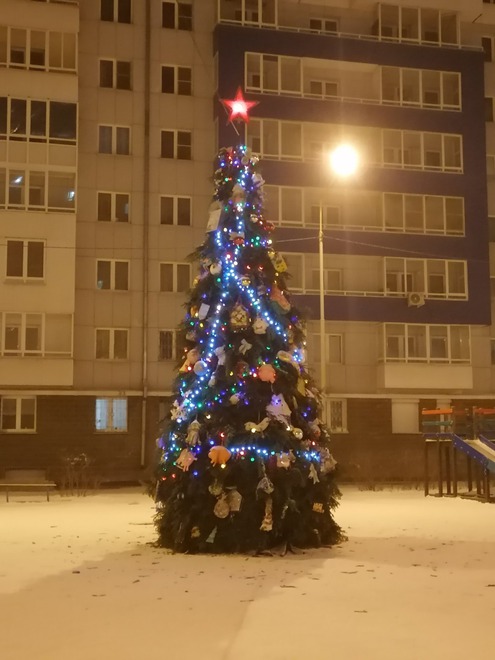 Высокая ёлка со звездой около дома на Поленова, 27-21. Фото Натальи Т.