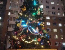 Ирина М. прислала фото вот такой шикарной ёлки. Она стоит около дома № 46 в микрорайоне Радужный.