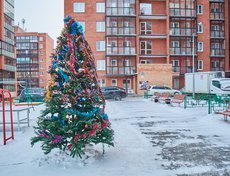 Вот такую красавицу нарядили во дворе домов №№ 12/2, 12/3 и 12/5 по Юрия Тена.