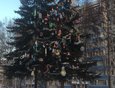 Во дворе дома № 247 в микрорайоне Байкальский украсили самодельными игрушками живое дерево. Кажется, здесь не обошлось без автовышки. Фото предоставлено Верой М.
