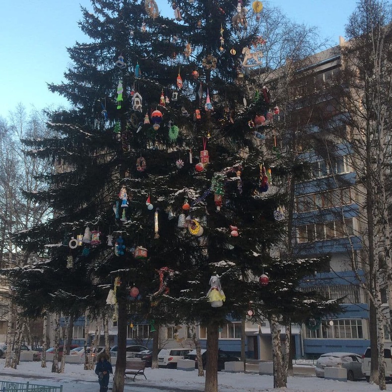 Во дворе дома № 247 в микрорайоне Байкальский украсили самодельными игрушками живое дерево. Кажется, здесь не обошлось без автовышки. Фото предоставлено Верой М.