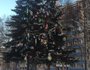 Во дворе дома № 247 в микрорайоне Байкальский украсили самодельными игрушками живое дерево. Кажется, здесь не обошлось без автовышки. Фото предоставлено Верой М.