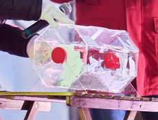 В течение вечера среди гостей были разыграны призы.