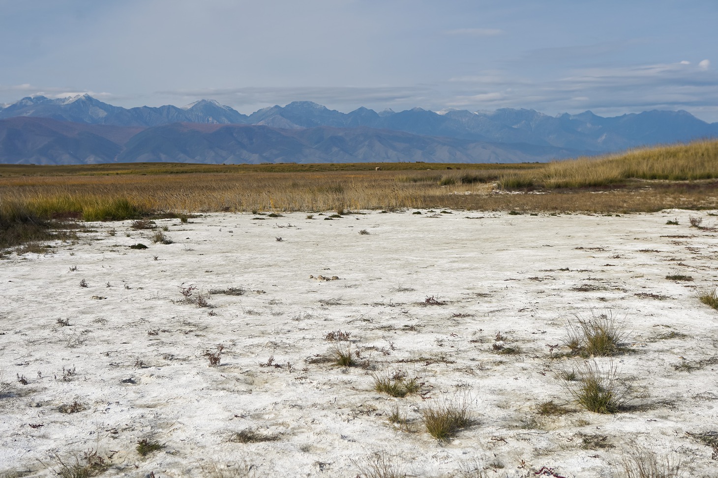 Алгинские озера