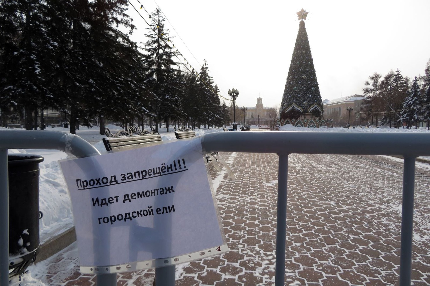 Фото Сергея Бредихина