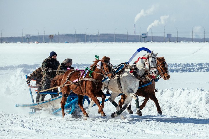 Забег русских троек на льду Иркутского водохранилища. Фото Зарины Весна, IRK.ru