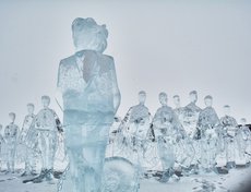 Группа мотыльков стоит на фоне хамелеона-политика, чиновника, собирательного образа управленца. Они его поддерживают и продвигают, не осознавая, что сами являются пищей для него.