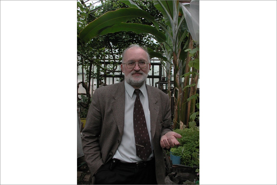 Фондовая оранжерея, Ботанический сад ИГУ, 1994