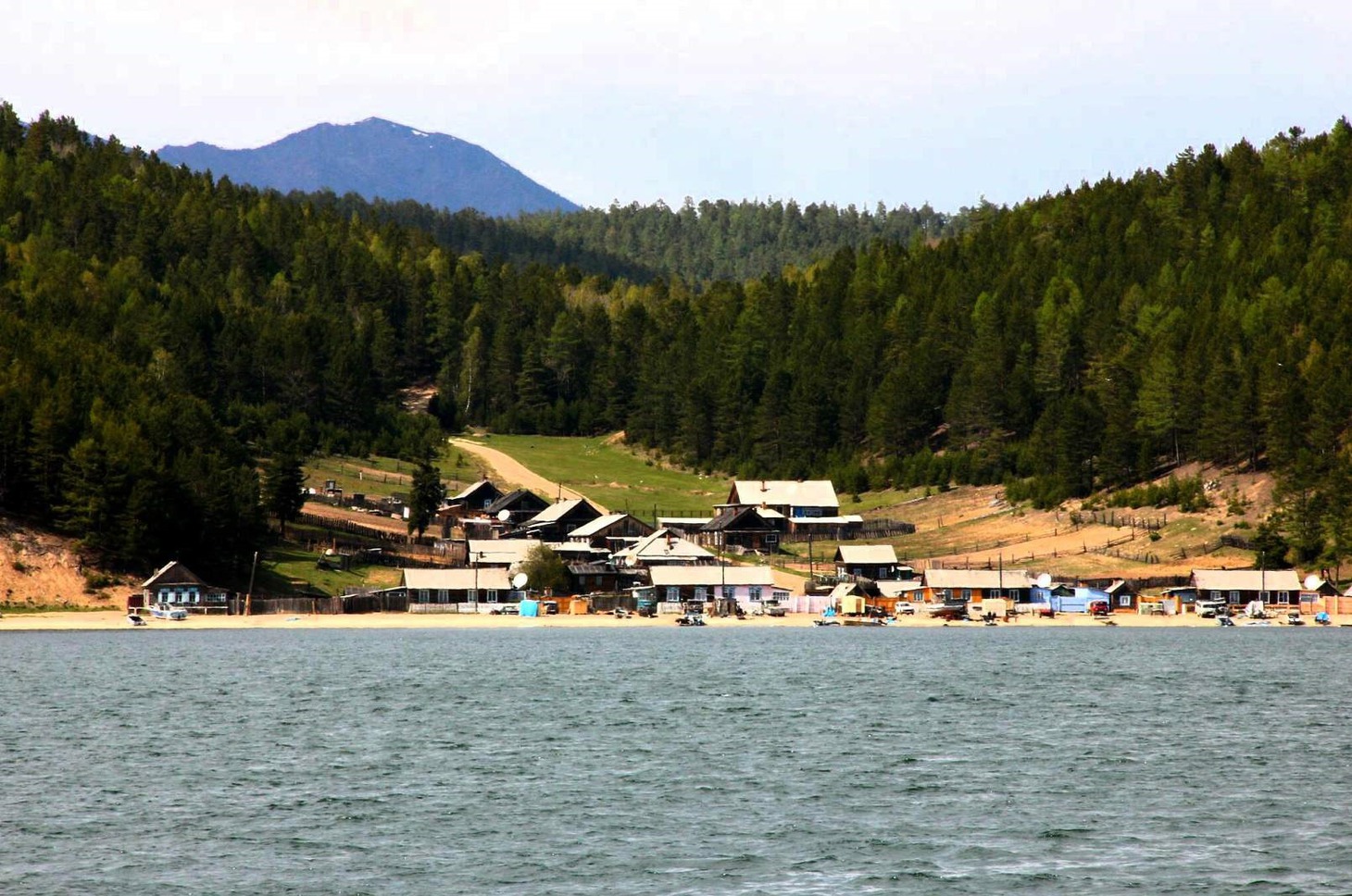 Курбулик. Фото с сайта wikipedia.com