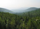 Фото с сайта forestcomplex.ru