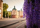 Фото Маргариты Романовой, IRK.ru