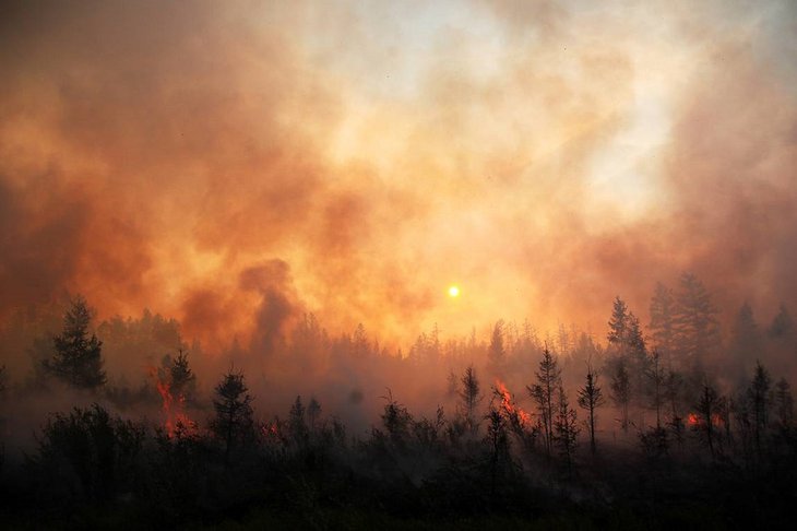 Фото с сайта tass.ru