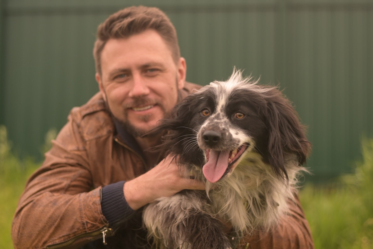 Джек, похож на спаниеля, около 2 лет