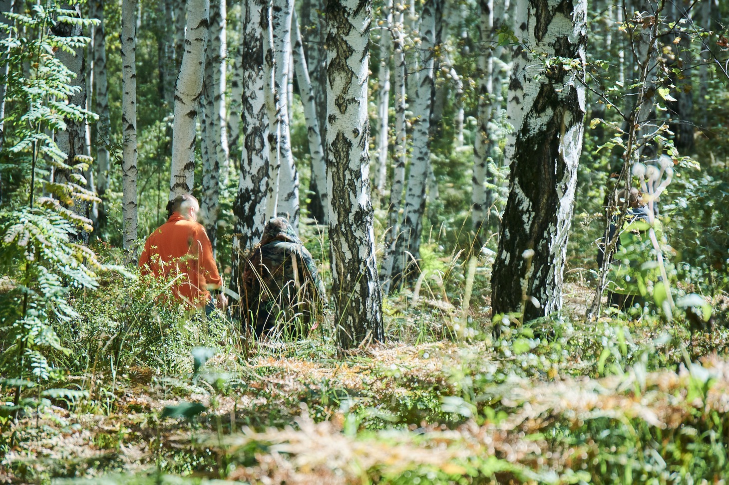 Перед тем, как пойдете в лес, обязательно предупредите родственников