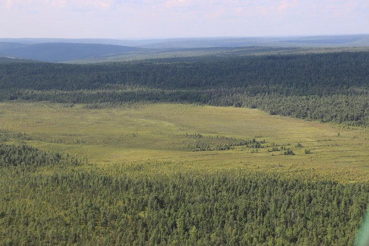 Фото пресс-службы правительства Иркутской области