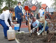В сквере жители высадили деревья.