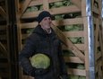 Агроном ООО «Агросмоленское» Василий Преин доволен нынешним урожаем капусты