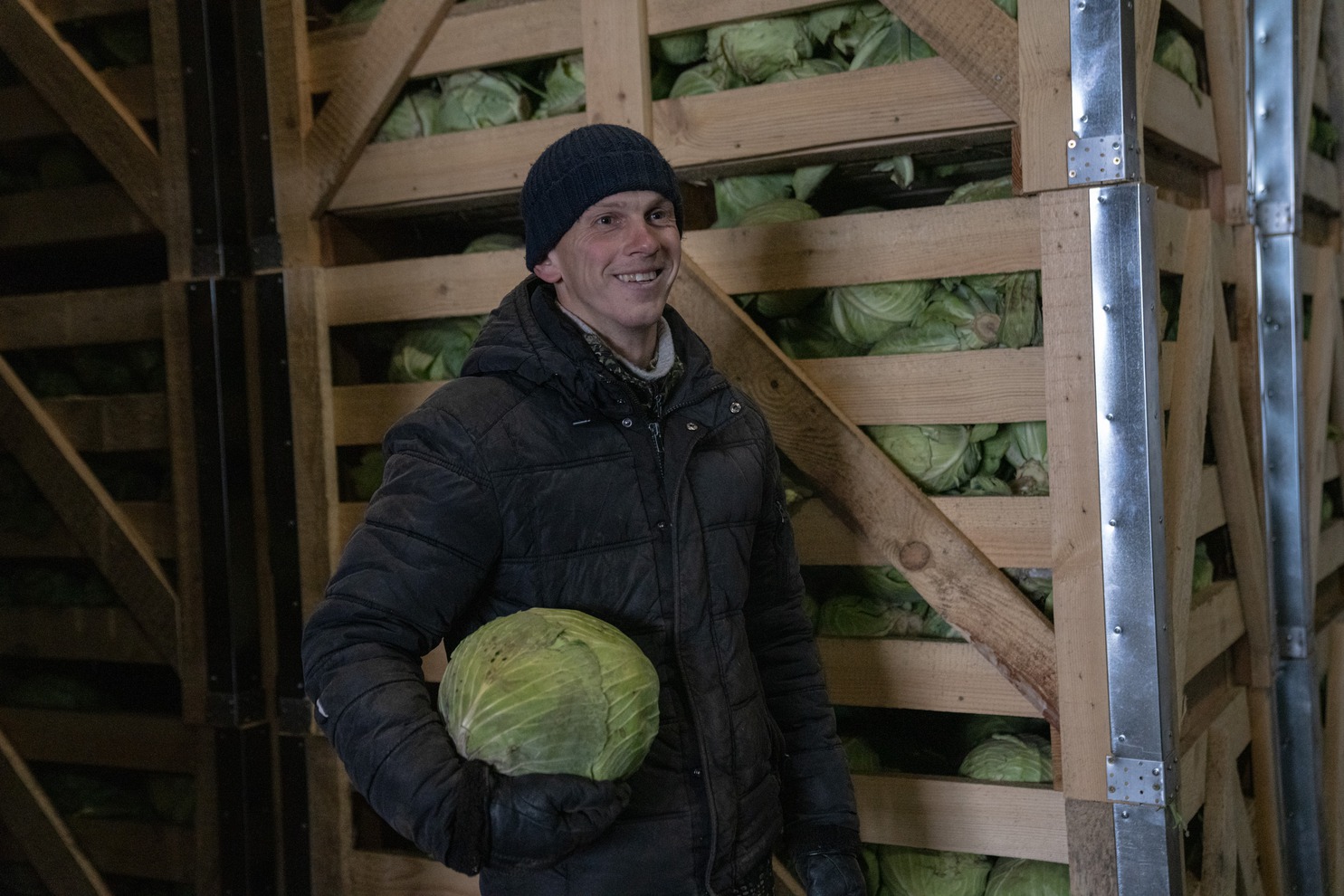 Агроном ООО «Агросмоленское» Василий Преин доволен нынешним урожаем капусты