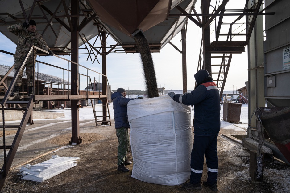 Рапса хватит всем желающим