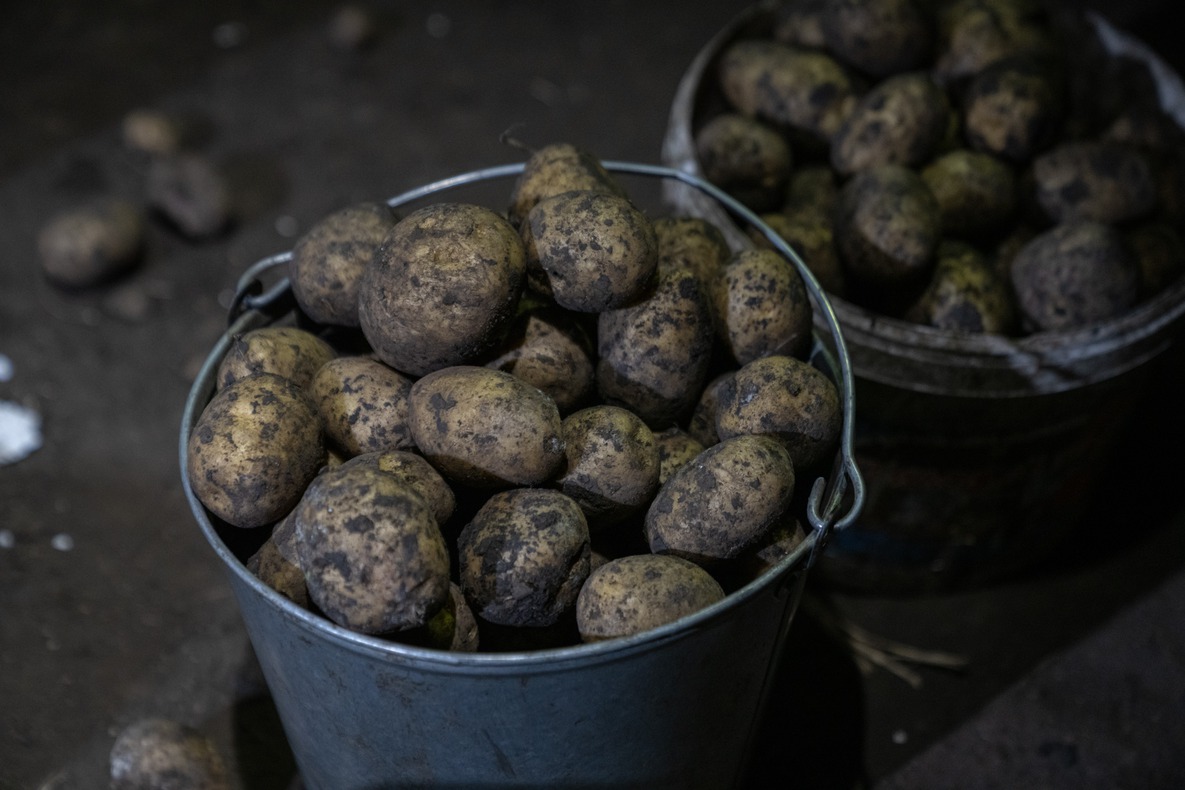 Овощами обеспечены