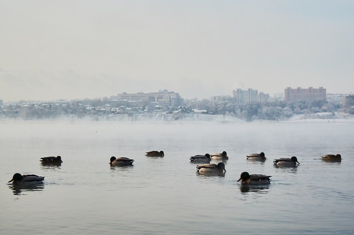 Фото Маргариты Романовой, IRK.ru