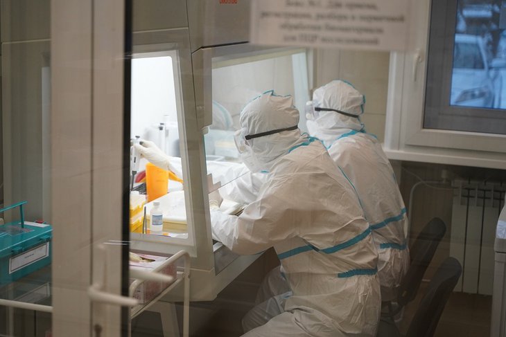 Сейчас в лаборатории обрабатывают до 100 проб на коронавирус в сутки. Фото пресс-службы правительства Иркутской области