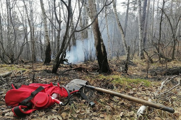 Фото Дмитрия Погребняка