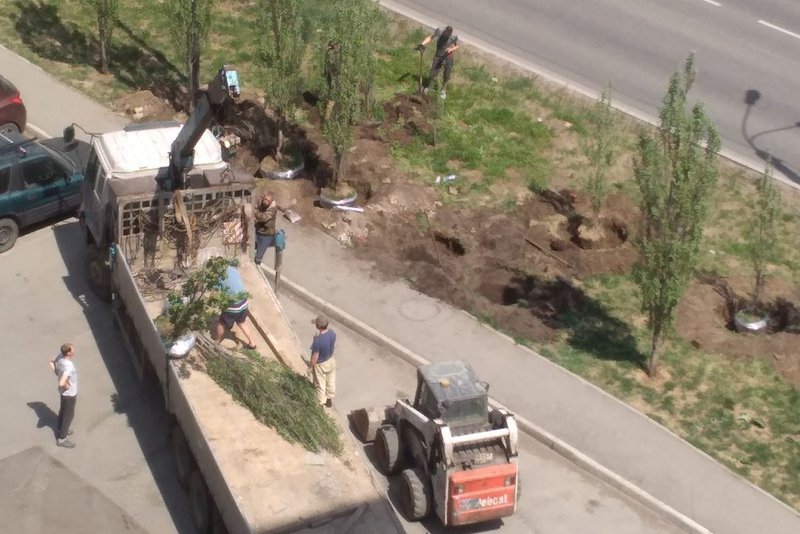 Кузов разворотило: автомобиль с компанией молодых людей врезался в дерево в Тутаевском районе