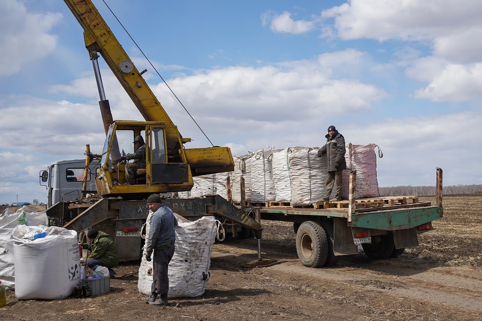 Идет посадка картофеля