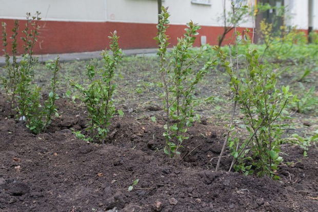 Фото предоставлено  пресс-службой правительства Иркутской области, автор — Анастасия Бортник