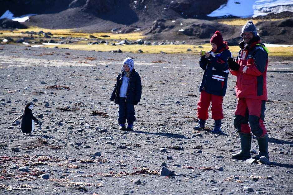 Общение с местным жителем - пингвином