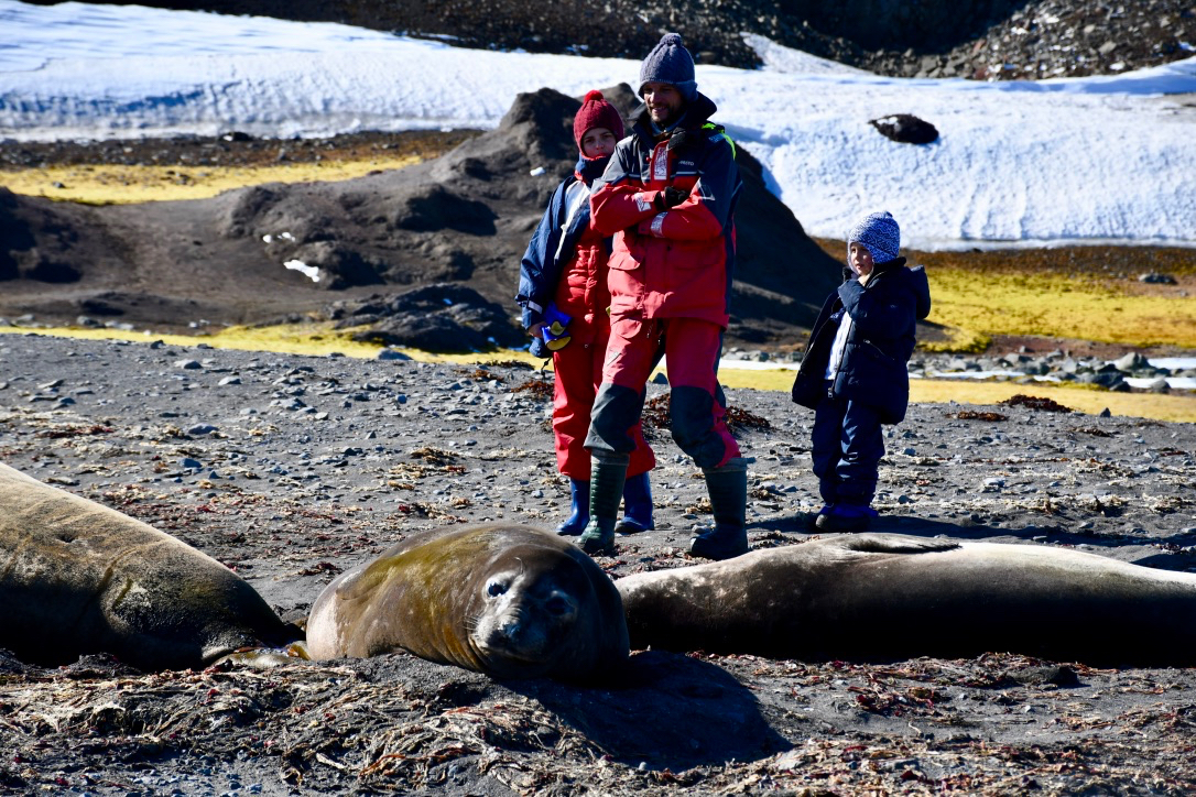 Лежбище морских слонов