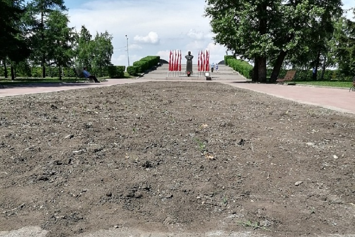 Цветы На Белобородова