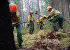 Тушение лесных пожаров. Фото пресс-службы правительства Иркутской области