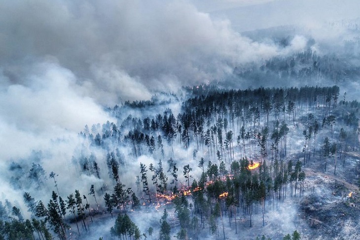 Лесной пожар. Фото из архива IRK.ru