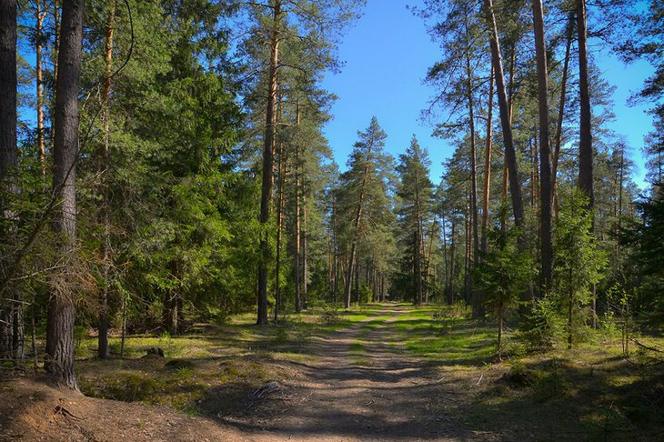 Фото пресс-службы правительства Иркутской области