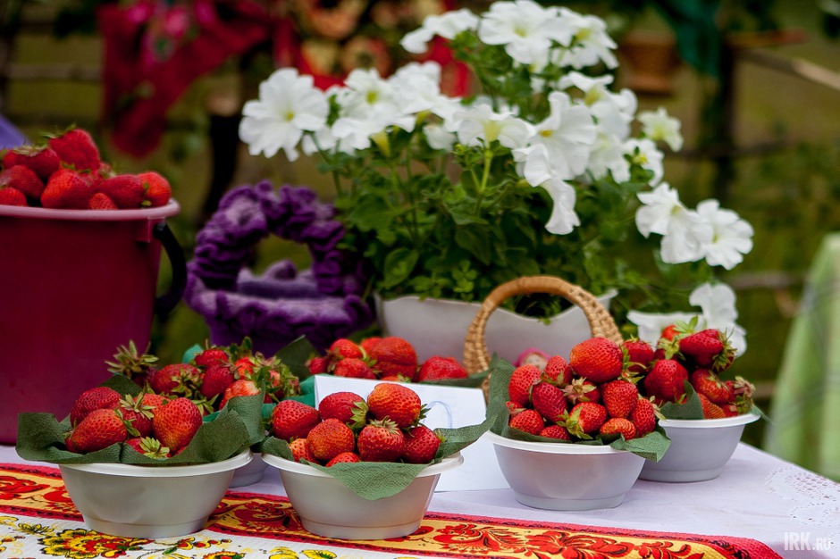 Продажа клубники на фестивале в Байкальске. Фото Анастасии Влади