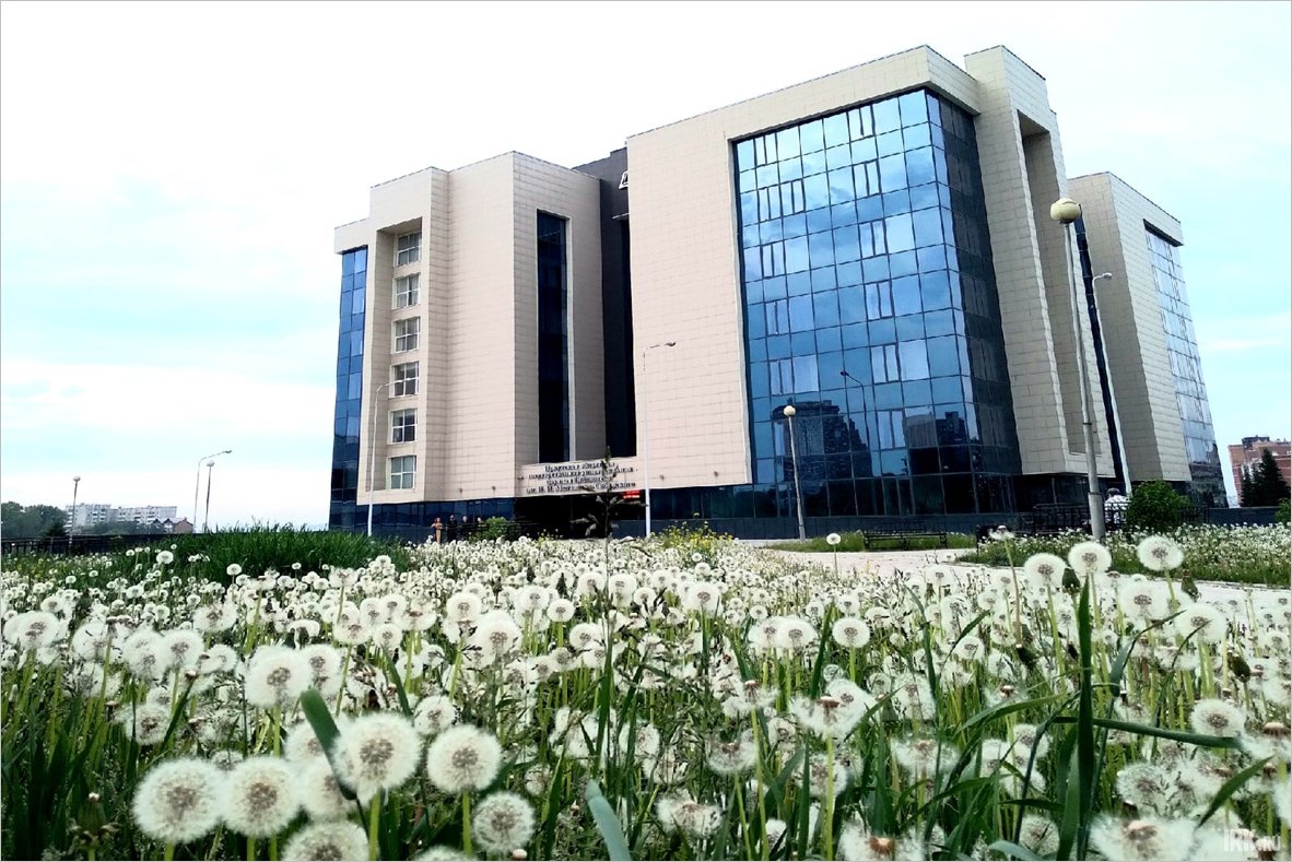 Иркутская областная библиотека имени И.И. Молчанова-Сибирского. Фото Маргариты Романовой Иркутская областная библиотека имени И.И. Молчанова-Сибирского. Фото Маргариты Романовой