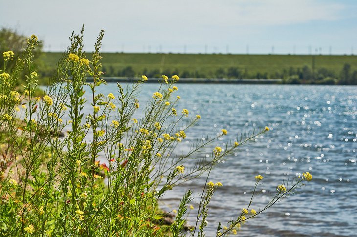 Лето в Иркутске. Фото Маргариты Романовой, IRK.ru