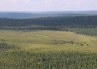 Лес в Катангском районе. Фото с сайта правительства Иркутской области