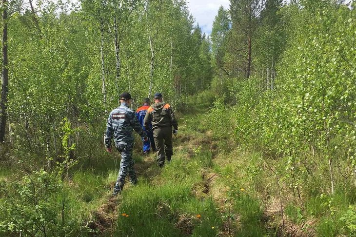 Поиски потерявшихся в лесу людей. Фото пресс-службы ГУ МЧС России по Иркутской области