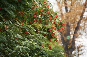 Фото из архива IRK.ru